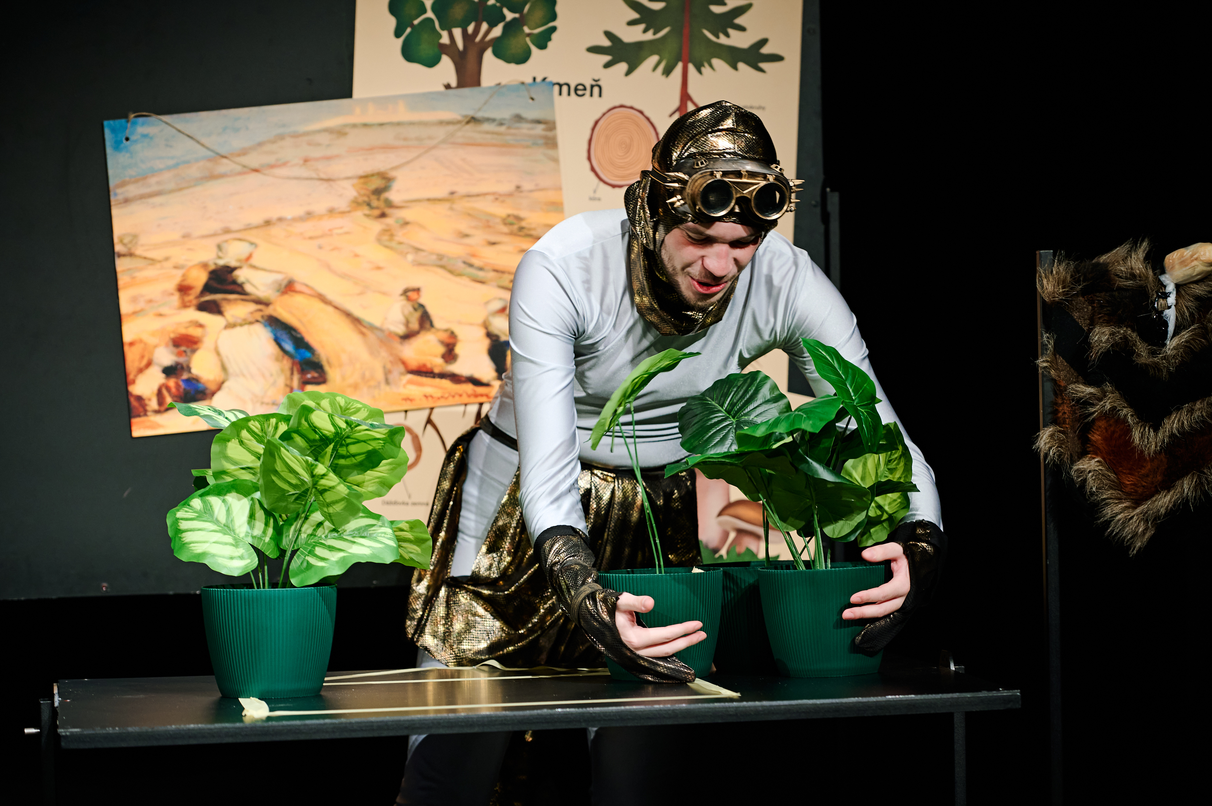 Mr. Salamander - image 4